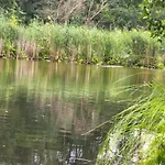See-haus, Arboretum & Sauna Am Plessower-see