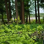 See-haus, Arboretum & Sauna Am Plessower-see Apartament