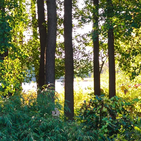 See-haus, Arboretum & Sauna Am Plessower-see شقة