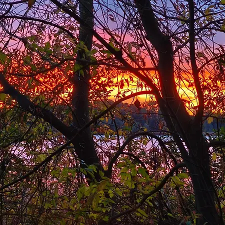 See-haus, Arboretum & Sauna Am Plessower-see *