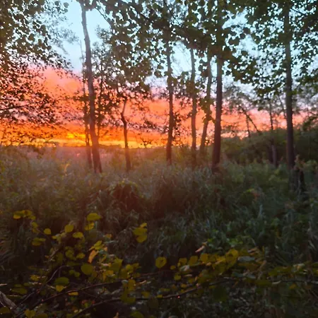 See-haus, Arboretum & Sauna Am Plessower-see * Kolonie Zern