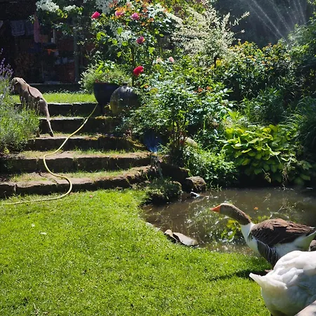 See-haus, Arboretum & Sauna Am Plessower-see Kolonie Zern