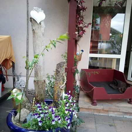 Apartment See-haus, Arboretum & Sauna Am Plessower-see