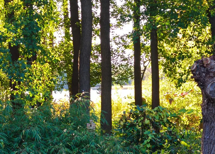 See-haus, Arboretum & Sauna Am Plessower-see Apartment