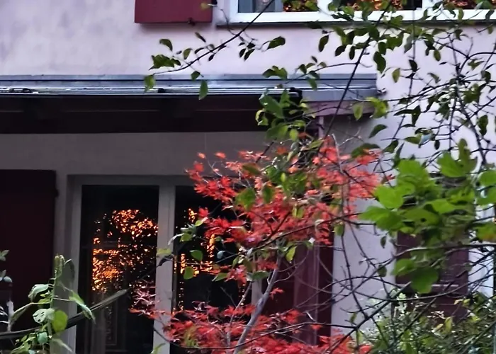 See-haus, Arboretum & Sauna Am Plessower-see شقة Kolonie Zern