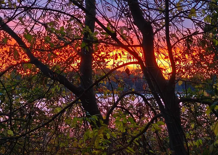 See-haus, Arboretum & Sauna Am Plessower-see *