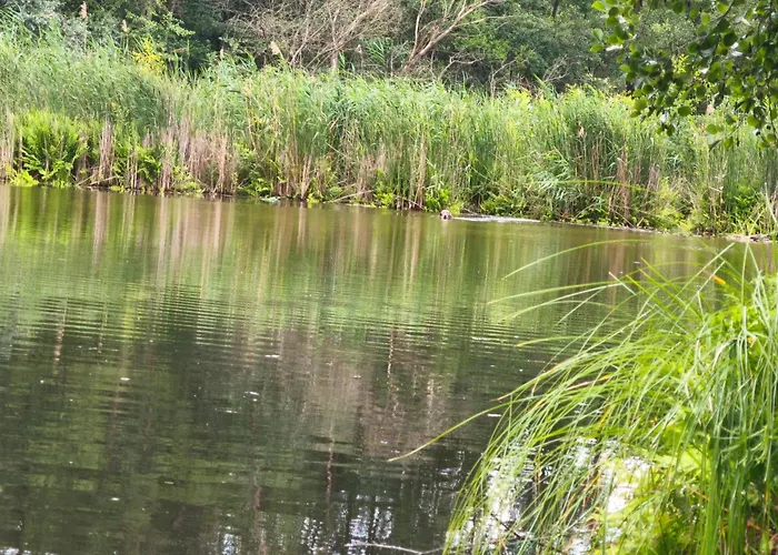 See-haus, Arboretum & Sauna Am Plessower-see