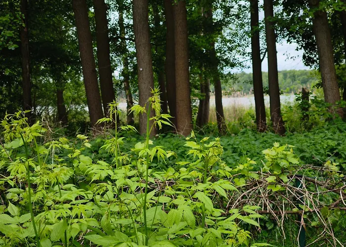 See-haus, Arboretum & Sauna Am Plessower-see شقة