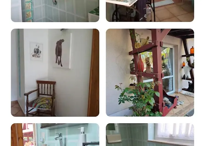 See-haus, Arboretum & Sauna Am Plessower-see Kolonie Zern