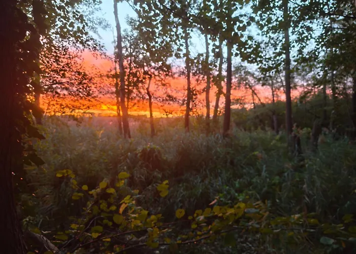 See-haus, Arboretum & Sauna Am Plessower-see * Kolonie Zern