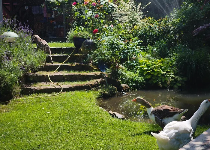 See-haus, Arboretum & Sauna Am Plessower-see Kolonie Zern