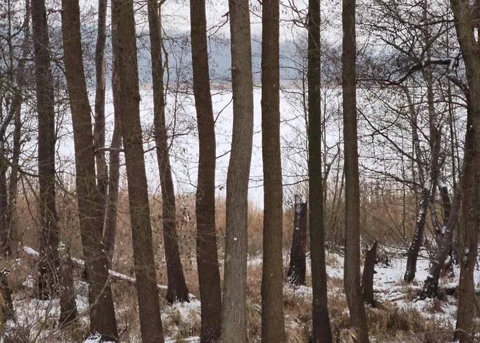 See-haus, Arboretum & Sauna Am Plessower-see شقة *